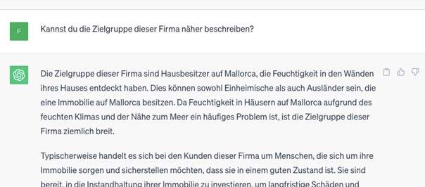 Screenshot eines ChatGPT-Dialogs, in dem es um die Probleme der Zielgruppe eines Unternehmens geht.